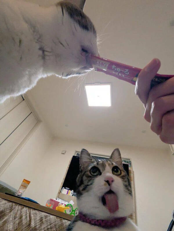 When Reality Gets Weird