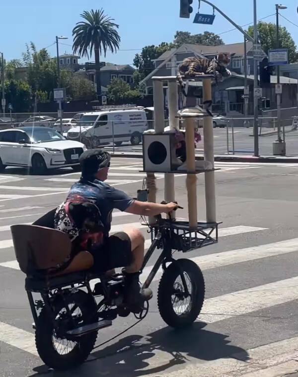 When Reality Gets Weird