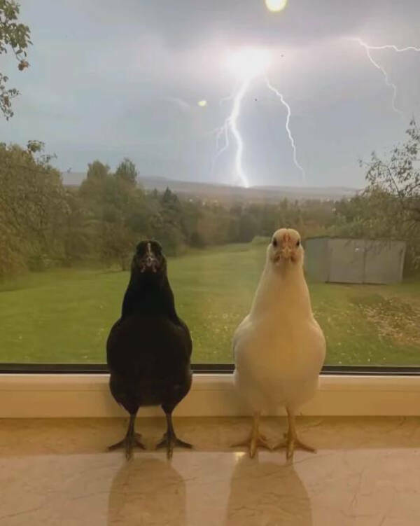 When Reality Gets Weird