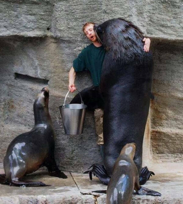 When Reality Gets Weird