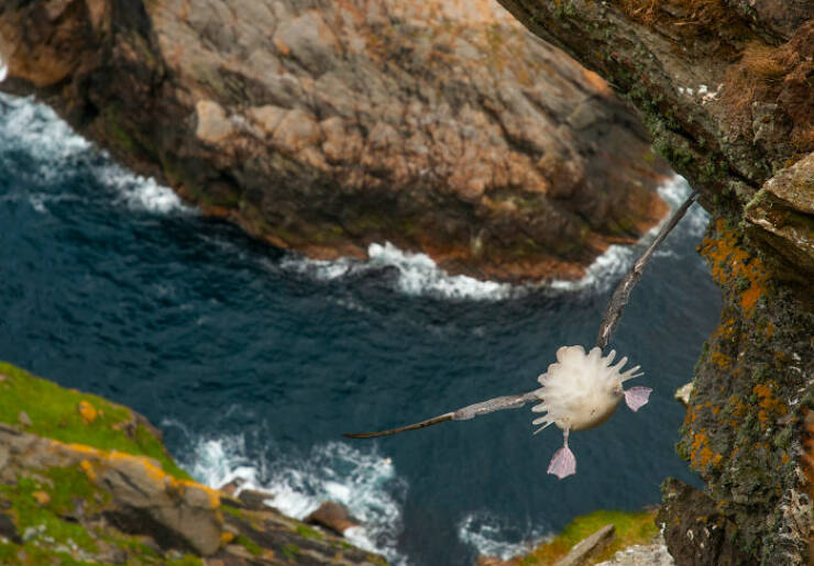 Breathtaking Wildlife Photography Breathtaking Wildlife Photography