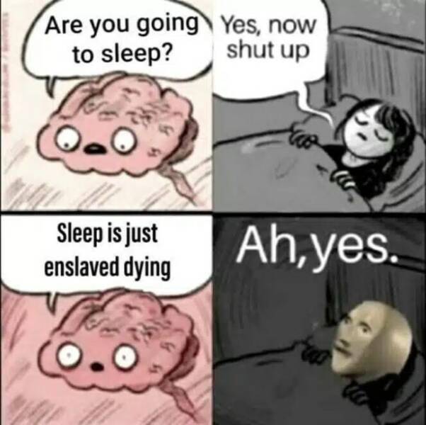 Relatable Memes for the Sleep-Deprived