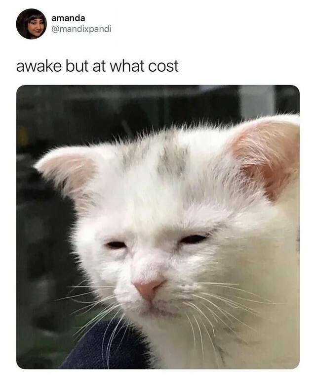 Relatable Memes for the Sleep-Deprived