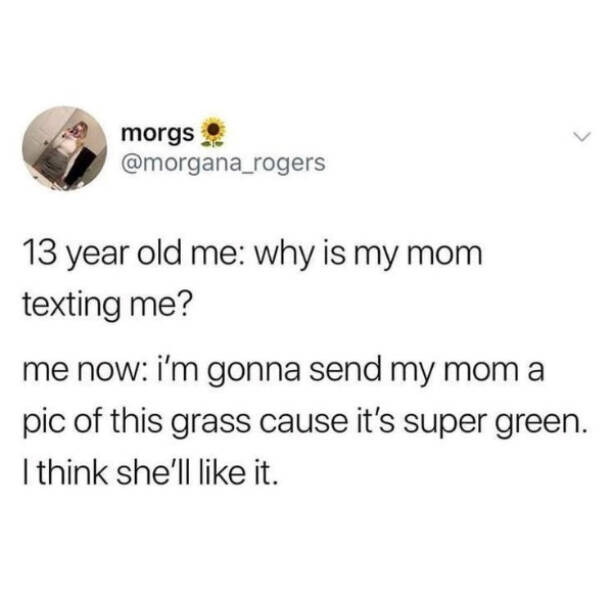 Wholesome Memes You Didn’t Know You Needed Wholesome Memes You Didn’t Know You Needed