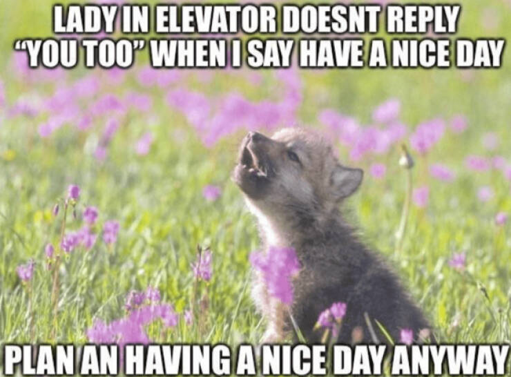 Wholesome Memes You Didn’t Know You Needed Wholesome Memes You Didn’t Know You Needed