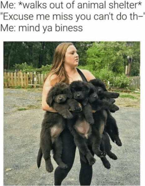 Wholesome Memes You Didn’t Know You Needed