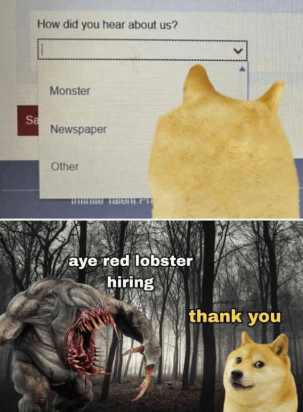 Wholesome Memes You Didn’t Know You Needed Wholesome Memes You Didn’t Know You Needed