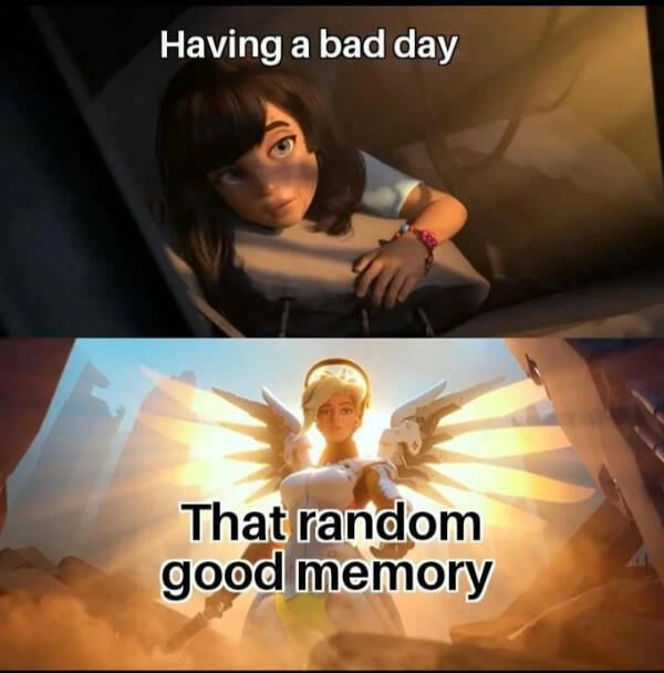 Wholesome Memes You Didn’t Know You Needed Wholesome Memes You Didn’t Know You Needed