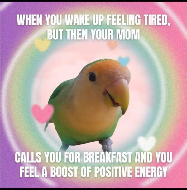 Wholesome Memes You Didn’t Know You Needed Wholesome Memes You Didn’t Know You Needed