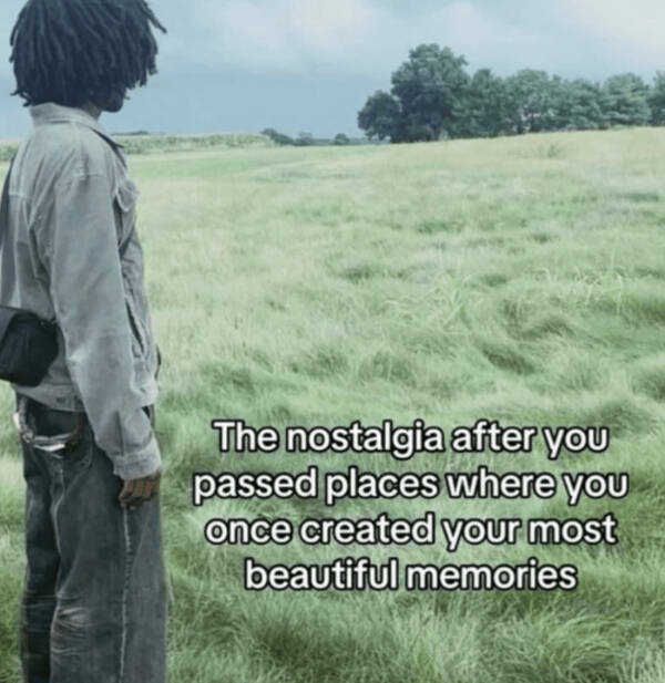 Wholesome Memes You Didn’t Know You Needed Wholesome Memes You Didn’t Know You Needed