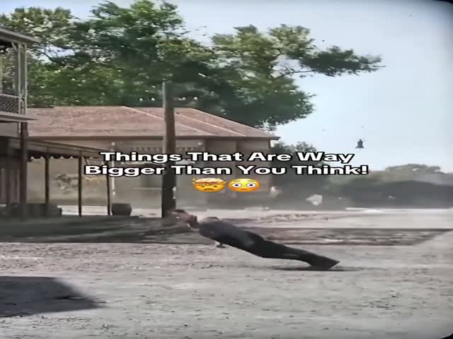 Things That Are Way Bigger Than You Think!