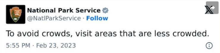 Clever is as Clever Does