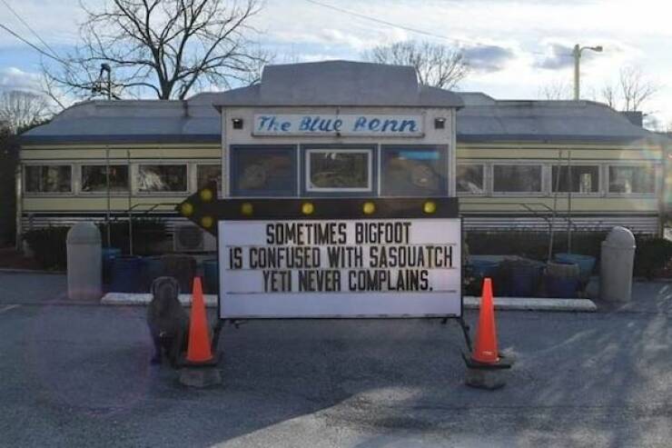 Clever is as Clever Does