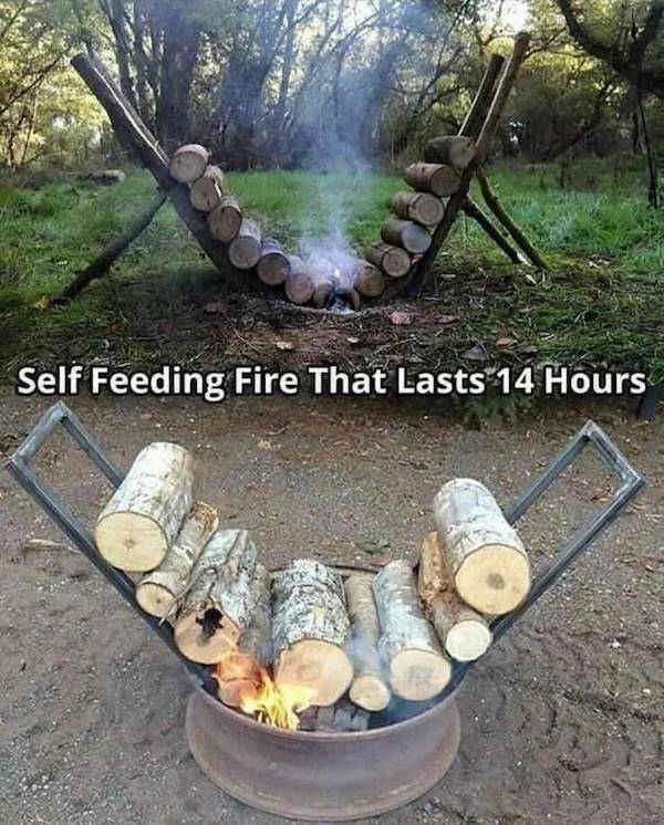 Clever is as Clever Does Clever is as Clever Does