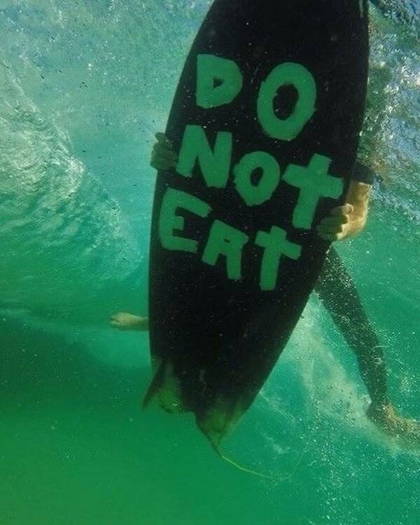 Clever is as Clever Does Clever is as Clever Does