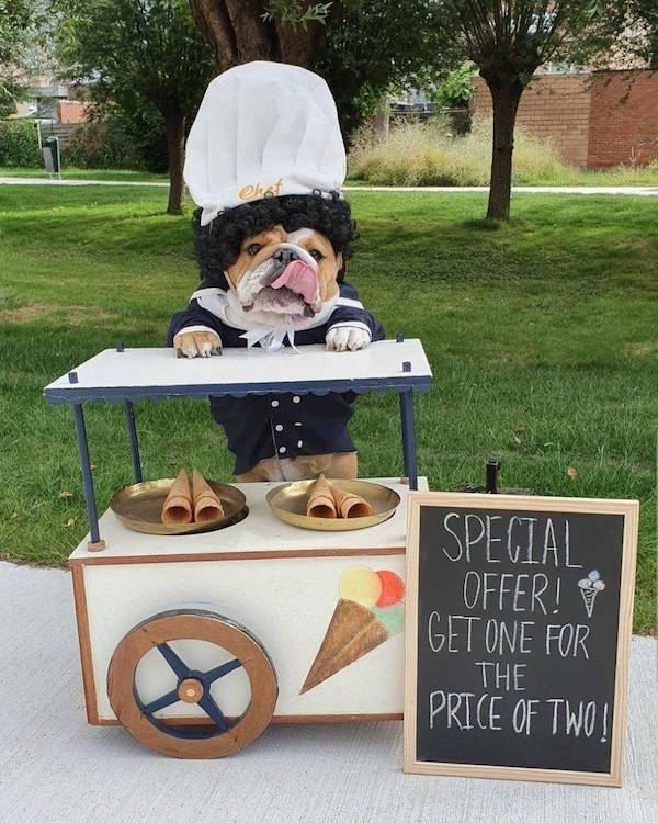 Clever is as Clever Does Clever is as Clever Does