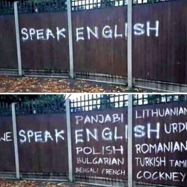 Pure Wholesome Goodness From the Web