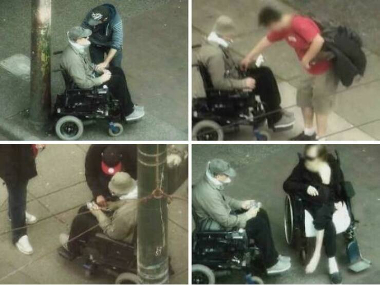 Pure Wholesome Goodness From the Web