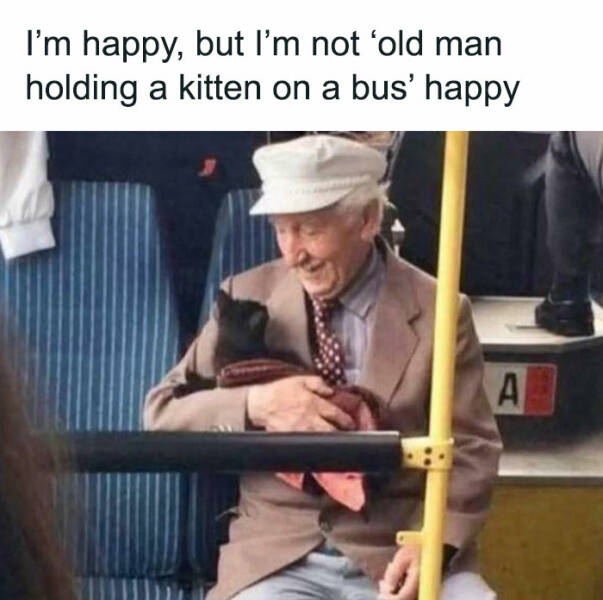 Pure Wholesome Goodness From the Web