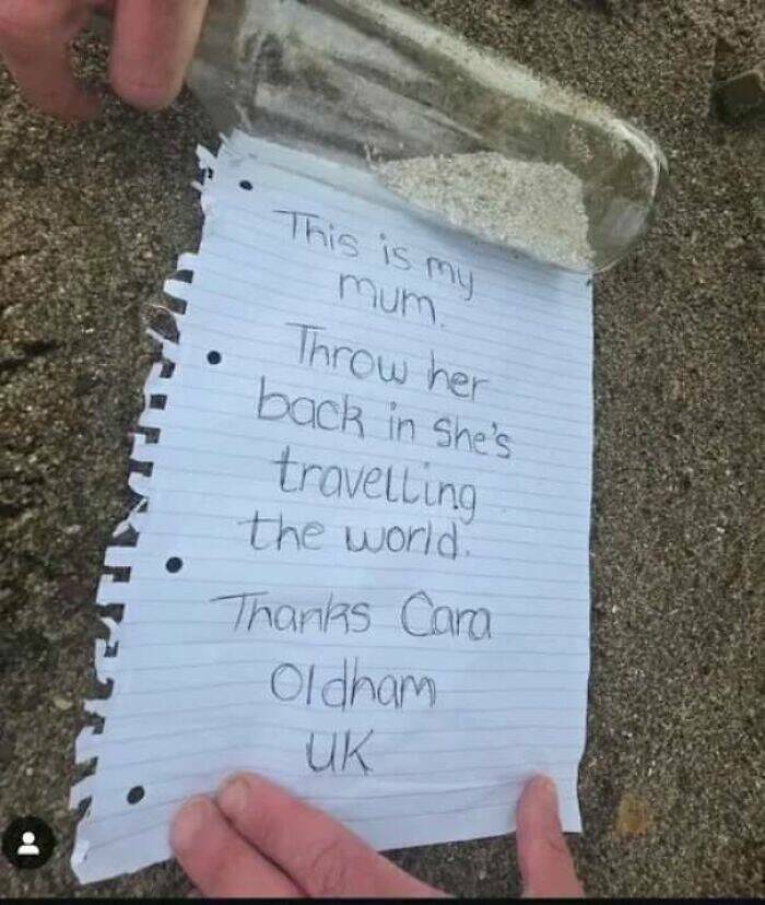 Pure Wholesome Goodness From the Web