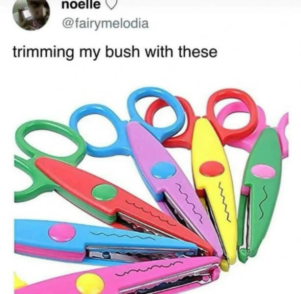 The Internet’s Most Randomly Funny Memes