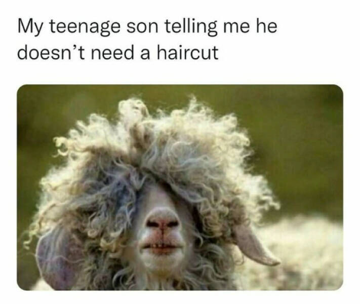 The Internet’s Most Randomly Funny Memes