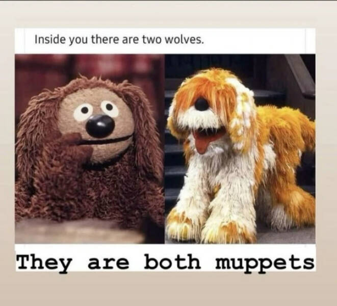 The Internet’s Most Randomly Funny Memes