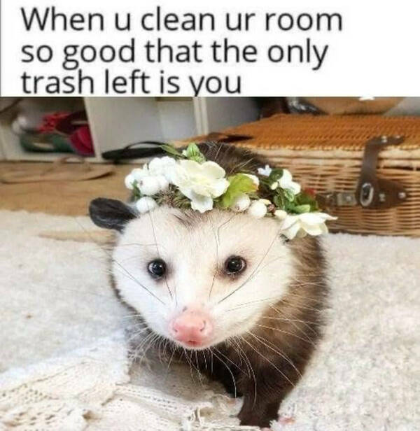 The Internet’s Most Randomly Funny Memes