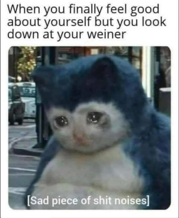 The Internet’s Most Randomly Funny Memes