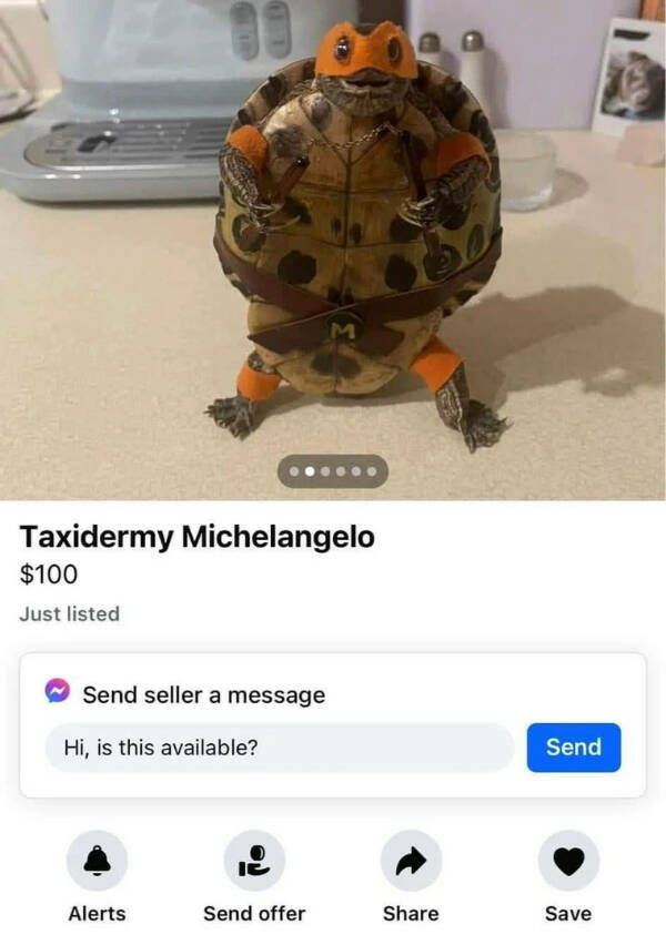 The Internet’s Most Randomly Funny Memes