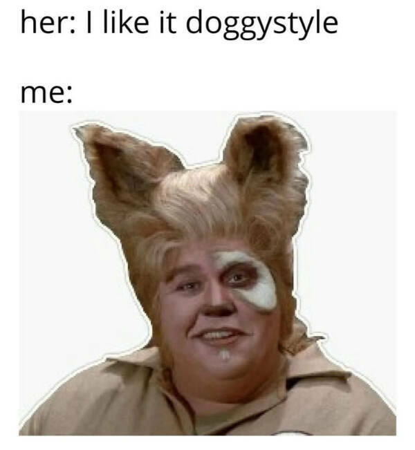 The Internet’s Most Randomly Funny Memes