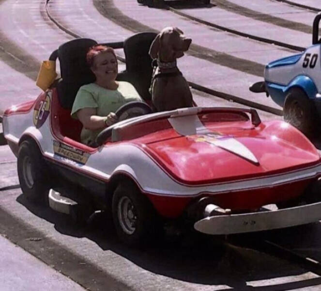 Theme Park Moments That Made Us Laugh