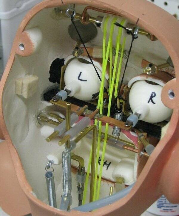 Awesome Cross-Section Views You Don’t Usually See