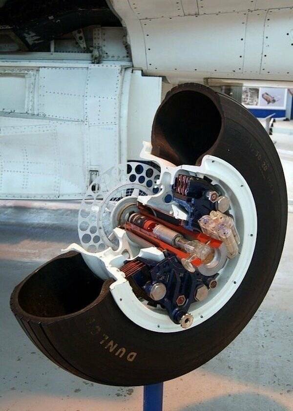 Awesome Cross-Section Views You Don’t Usually See