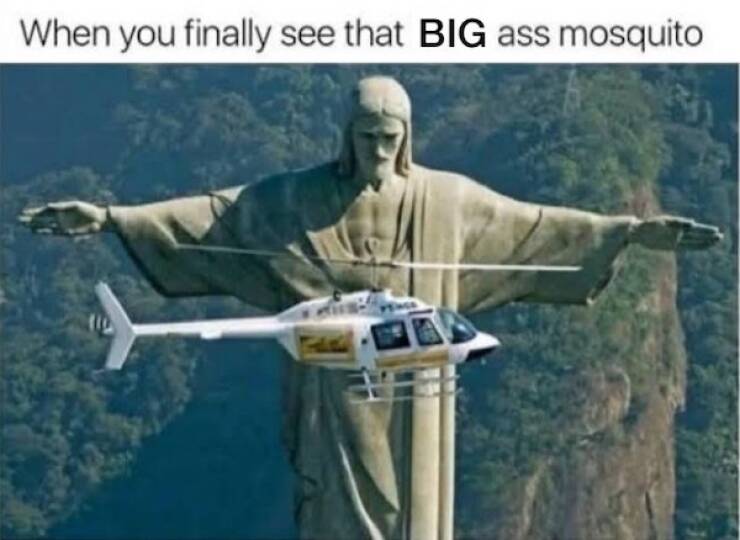 Hilariously Dumb Memes That Make No Sense