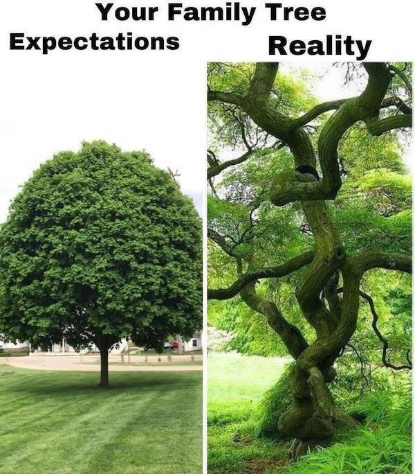 Hilariously Dumb Memes That Make No Sense