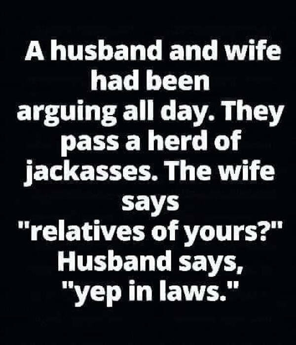 Hilariously Dumb Memes That Make No Sense