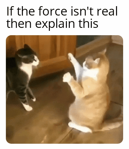 Hilariously Dumb Memes That Make No Sense