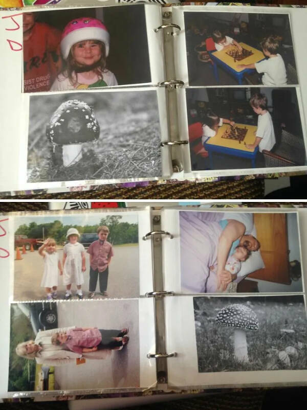 Proof That Parents Are Secret Comedians