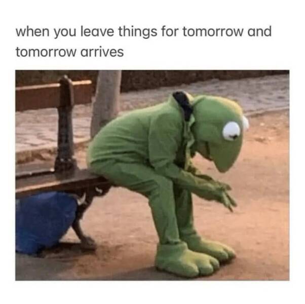 Relatable Memes for Professional Procrastinators