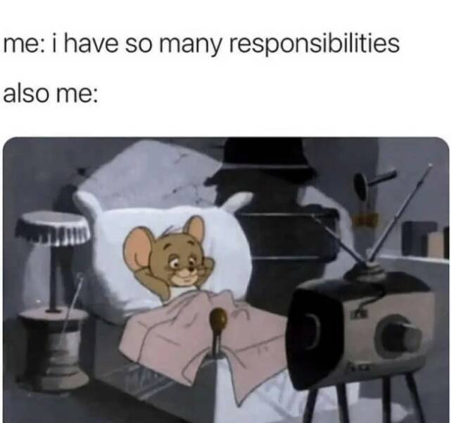 Relatable Memes for Professional Procrastinators