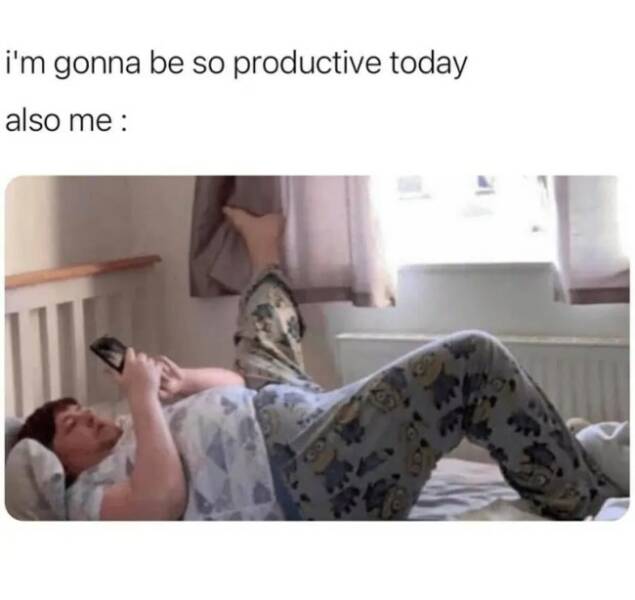 Relatable Memes for Professional Procrastinators