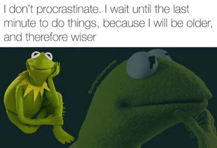 Relatable Memes for Professional Procrastinators