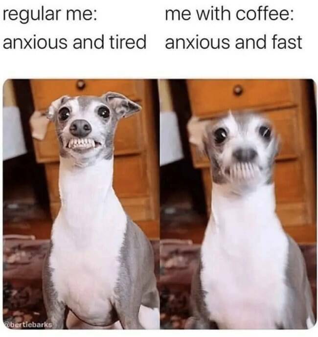 Relatable Memes for Professional Procrastinators