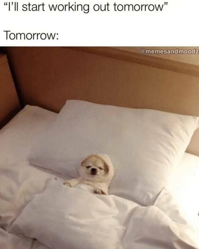 Relatable Memes for Professional Procrastinators