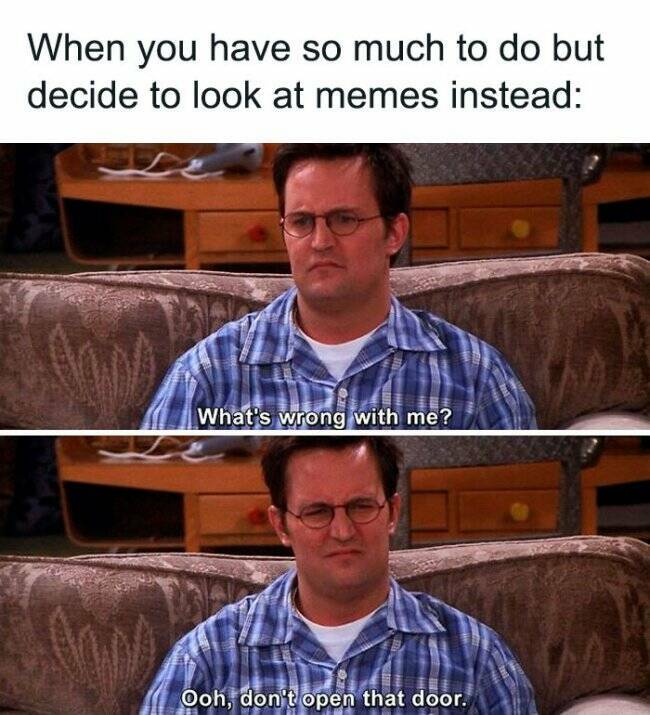 Relatable Memes for Professional Procrastinators