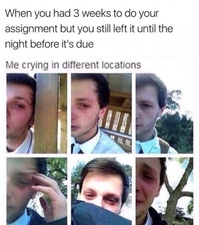 Relatable Memes for Professional Procrastinators