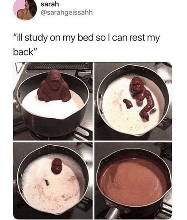 Relatable Memes for Professional Procrastinators