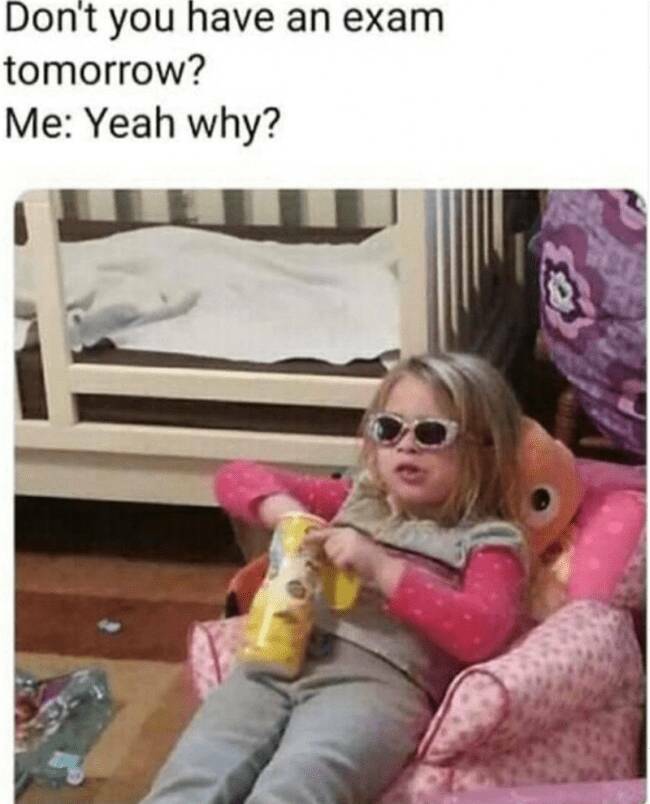 Relatable Memes for Professional Procrastinators