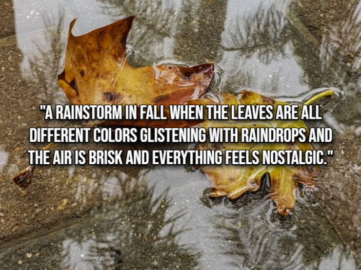 Small Joys That Brighten Everyday Life Small Joys That Brighten Everyday Life